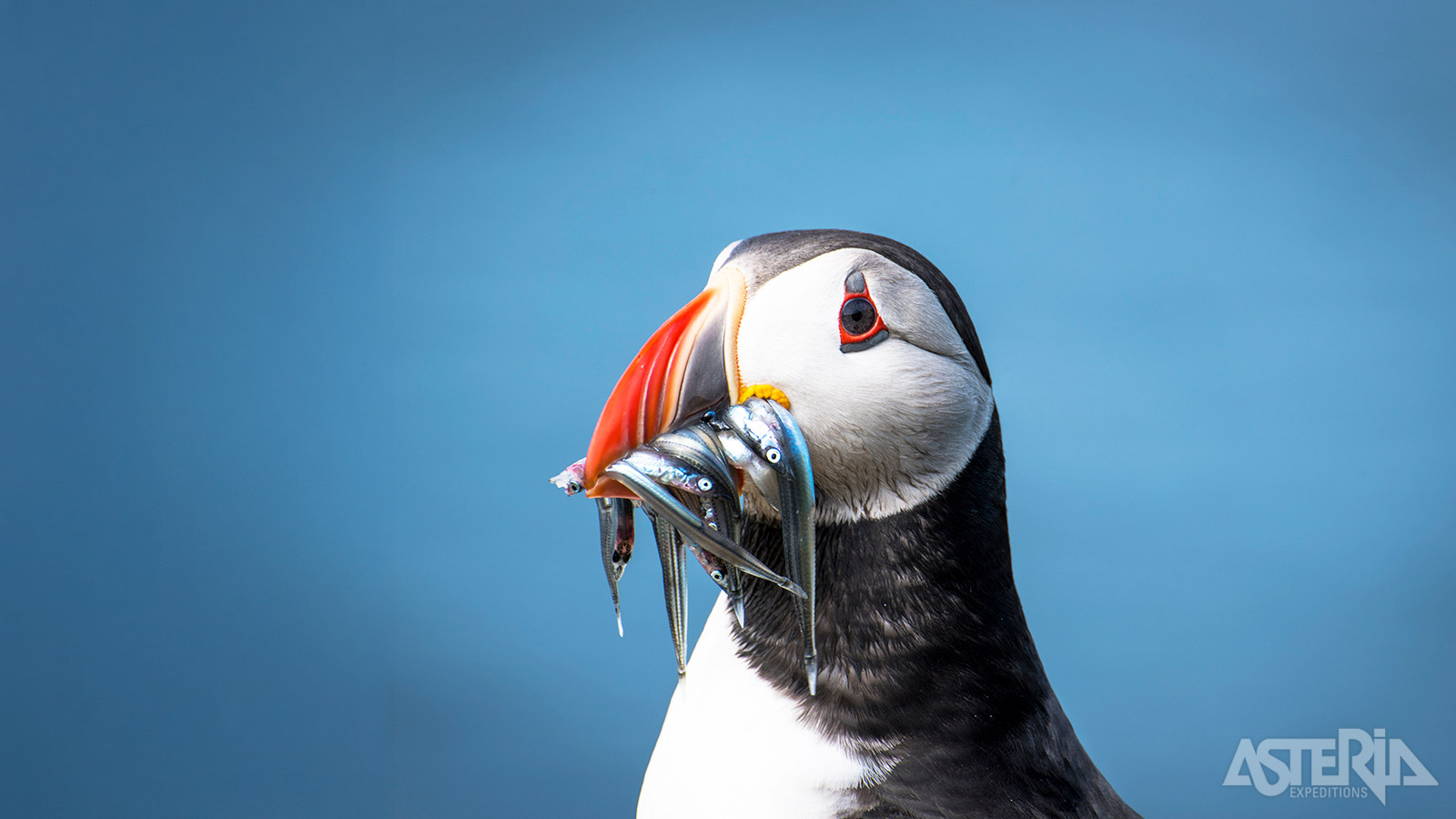 Deze bestemming is een heus paradijs voor vogelaars en natuurfotografen