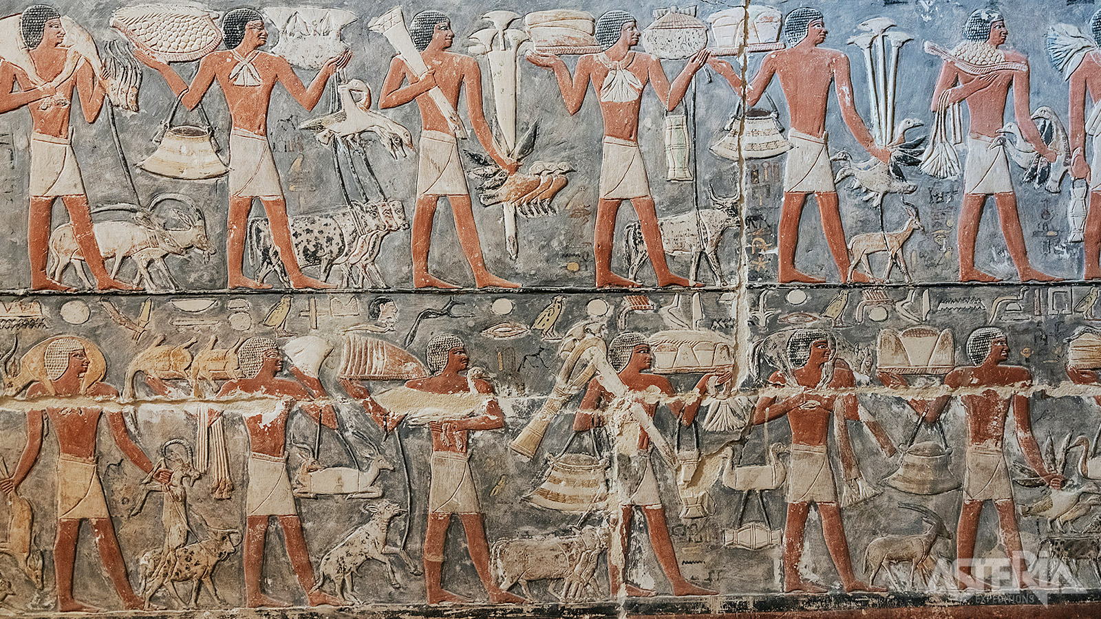 Hoewel de Piramide van Djoser minder rijk beschilderd is dan sommige latere Egyptische graven, bevat het ondergrondse complex prachtige decoraties