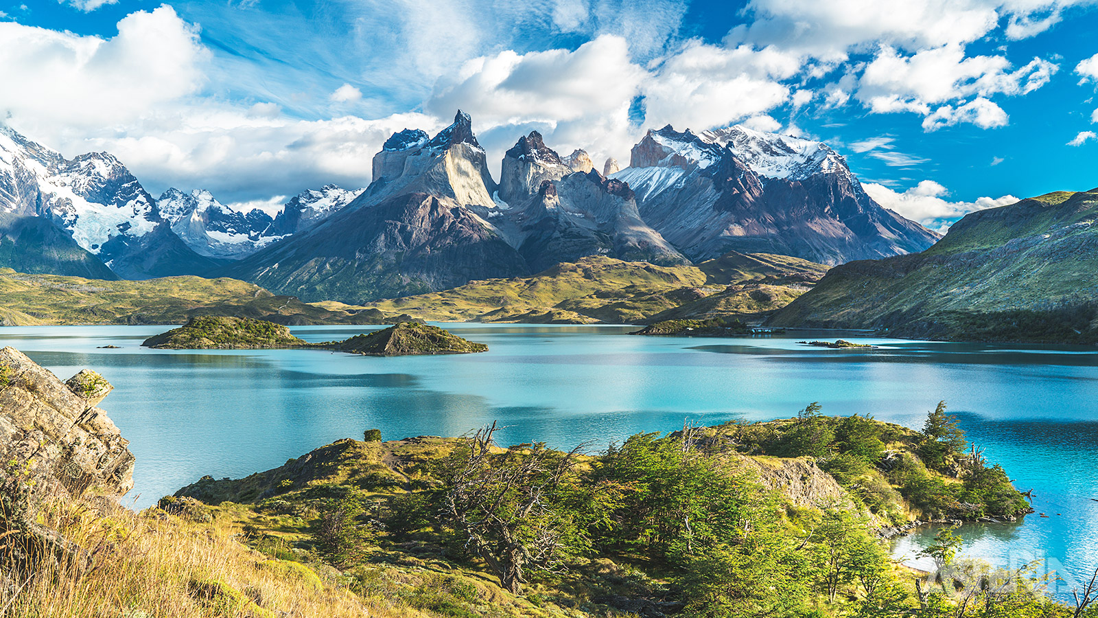 Een dagexcursie brengt je naar het hart van het Torres del Paine in Chili, met stops bij schilderachtige uitkijkpunten en korte wandelingen
