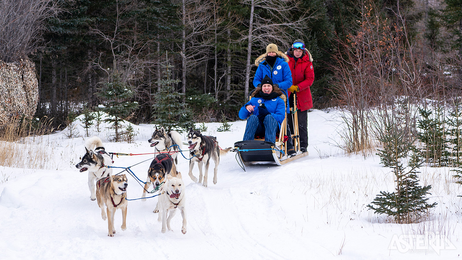 Samen met een lokale musher en een huskyteam trek je de bossen in