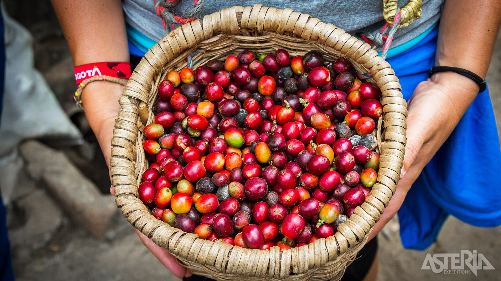 Op een traditionele finca dompel je je onder in de wereld van de Colombiaanse koffie