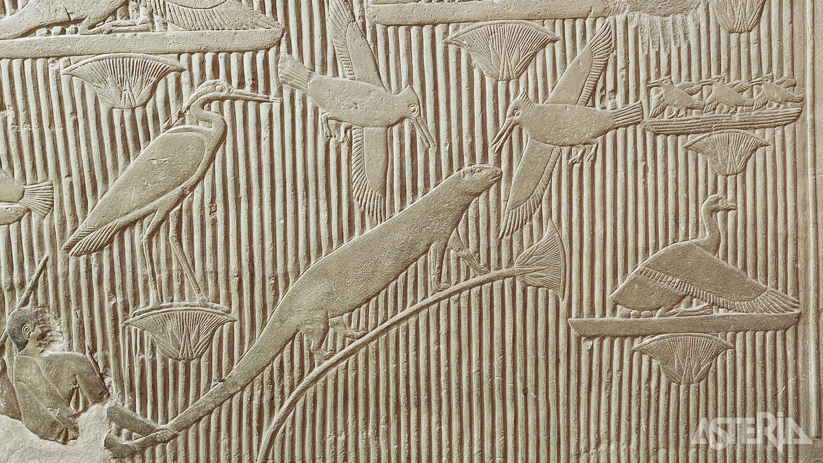 Het graf van Mereruka is een zeldzame schat van het Oude Egypte, met gedetailleerde voorstellingen uit het dagelijks leven