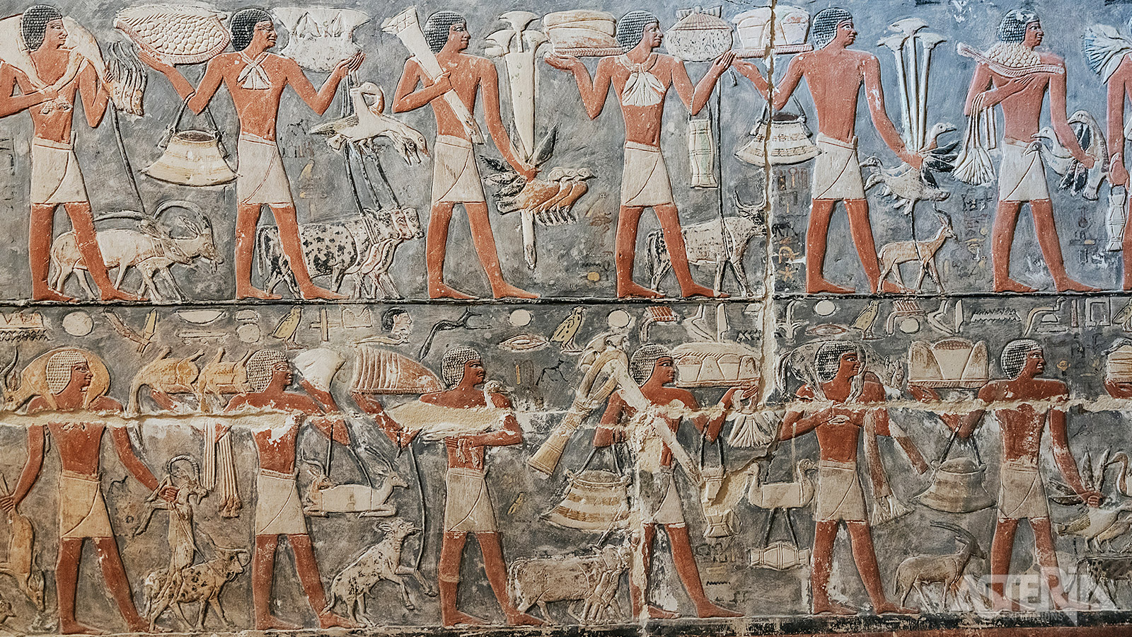 Sakkara was eeuwenlang de begraafplaats van de oude Egyptische hoofdstad Memphis