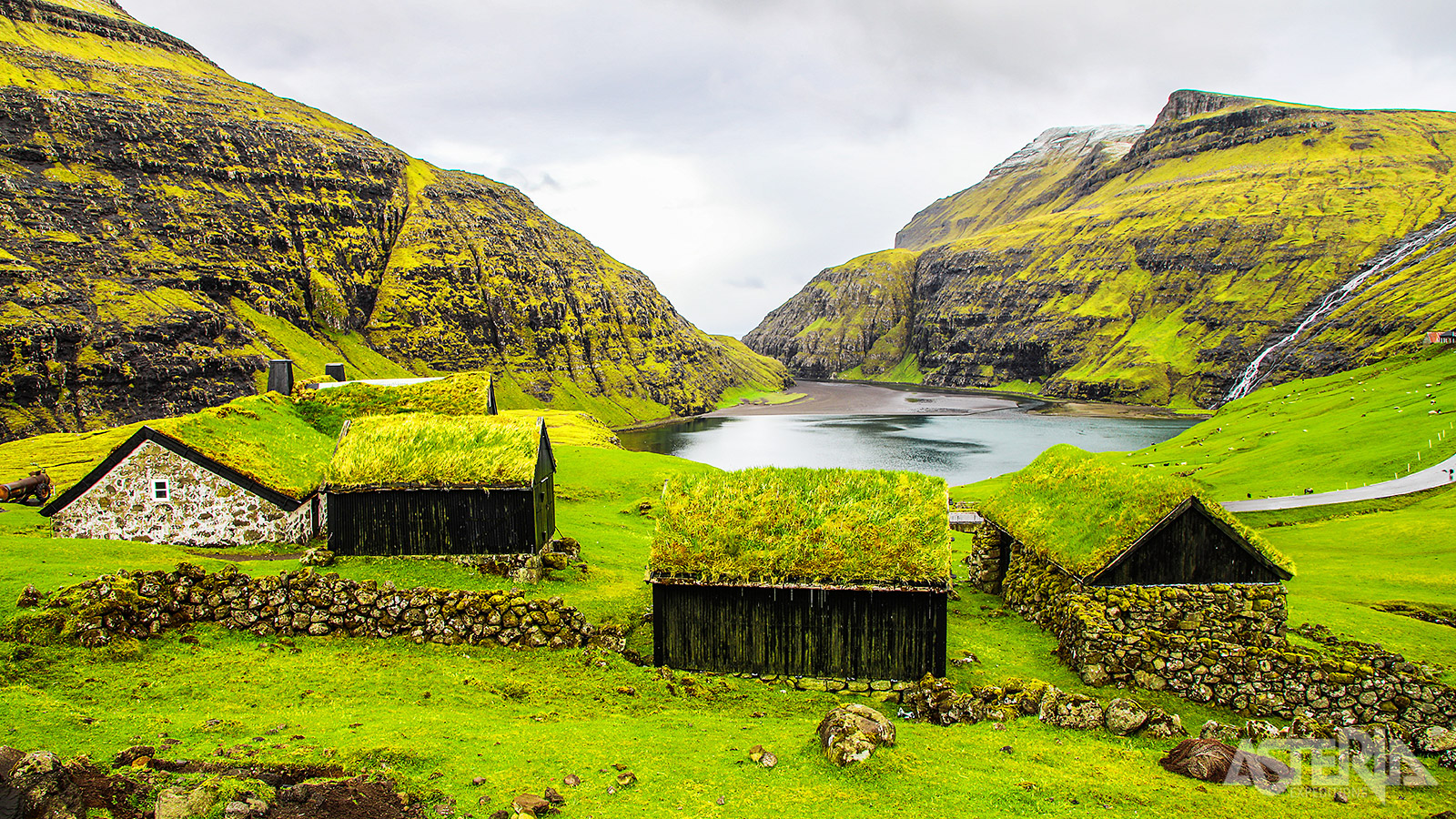 Op de Faeröer zie je veel huizen met grasdaken – een eeuwenoude bouwtraditie