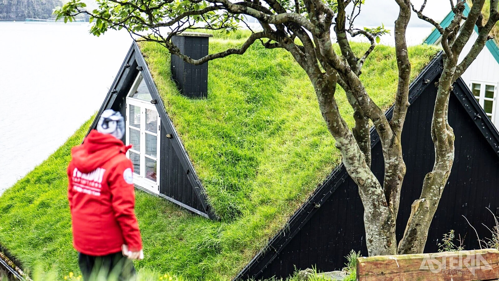 Op de Faeröer zie je huizen met grasdaken – een eeuwenoude bouwtraditie