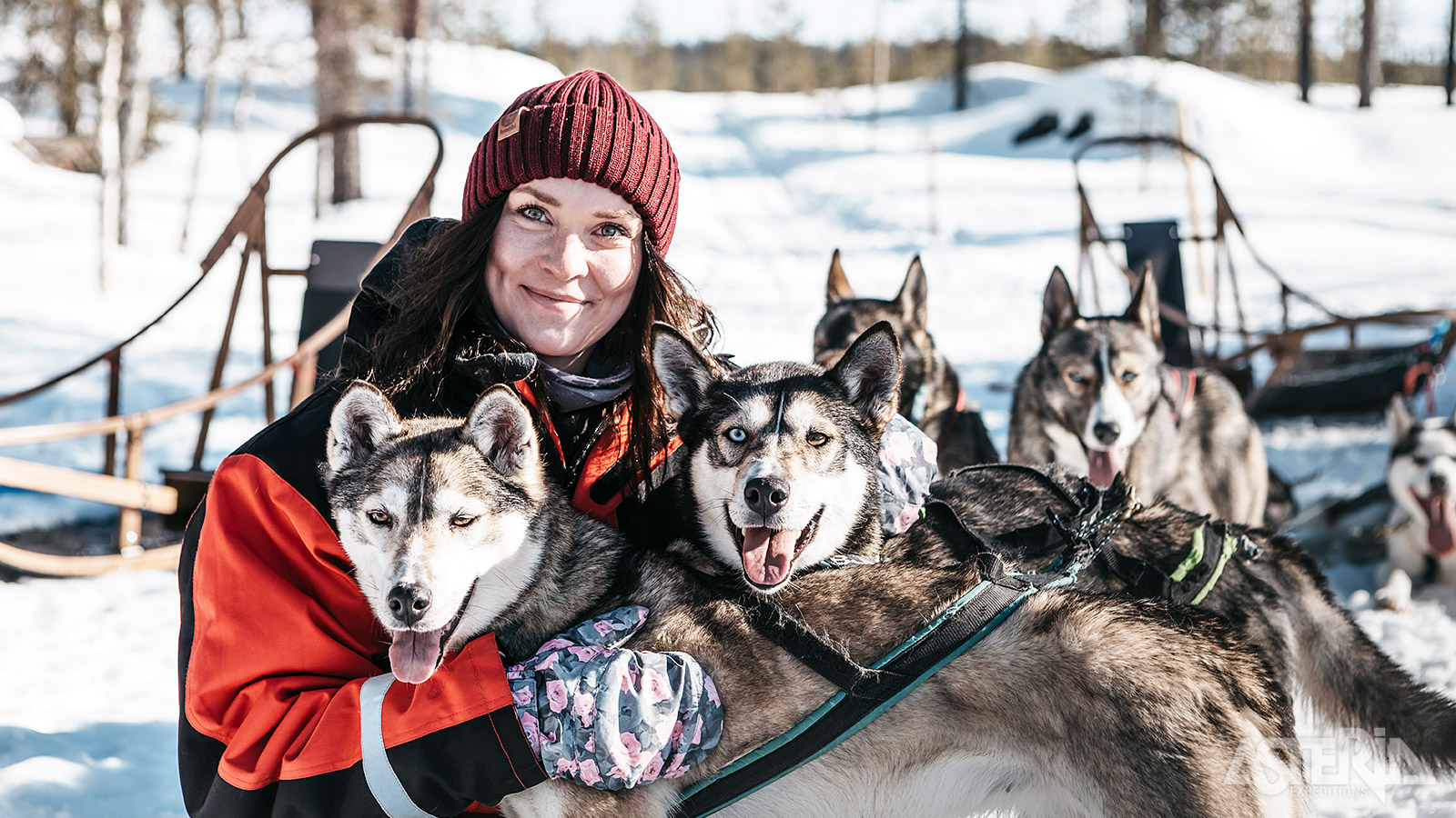 Bij het bezoek aan de huskyfarm maak je kennis met de enthousiaste honden