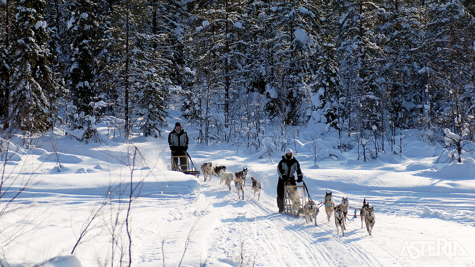 Een huskysafari is een typische activiteit die bij veel mensen hoog op hun bucketlist staat