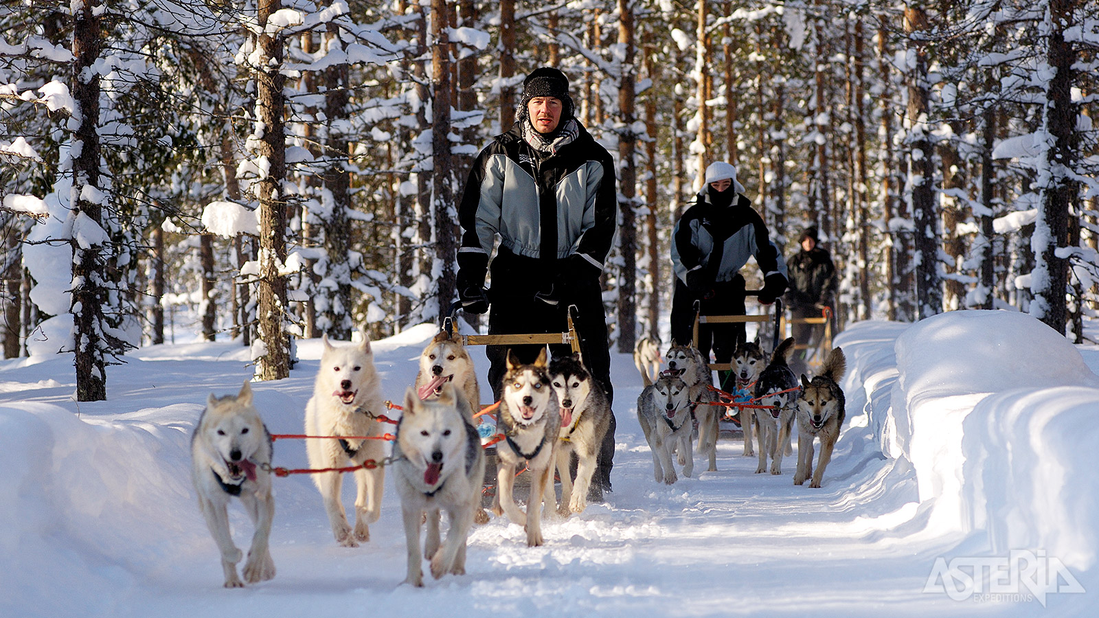 Vertrek met de husky’s voor een extra lange safari van 25km