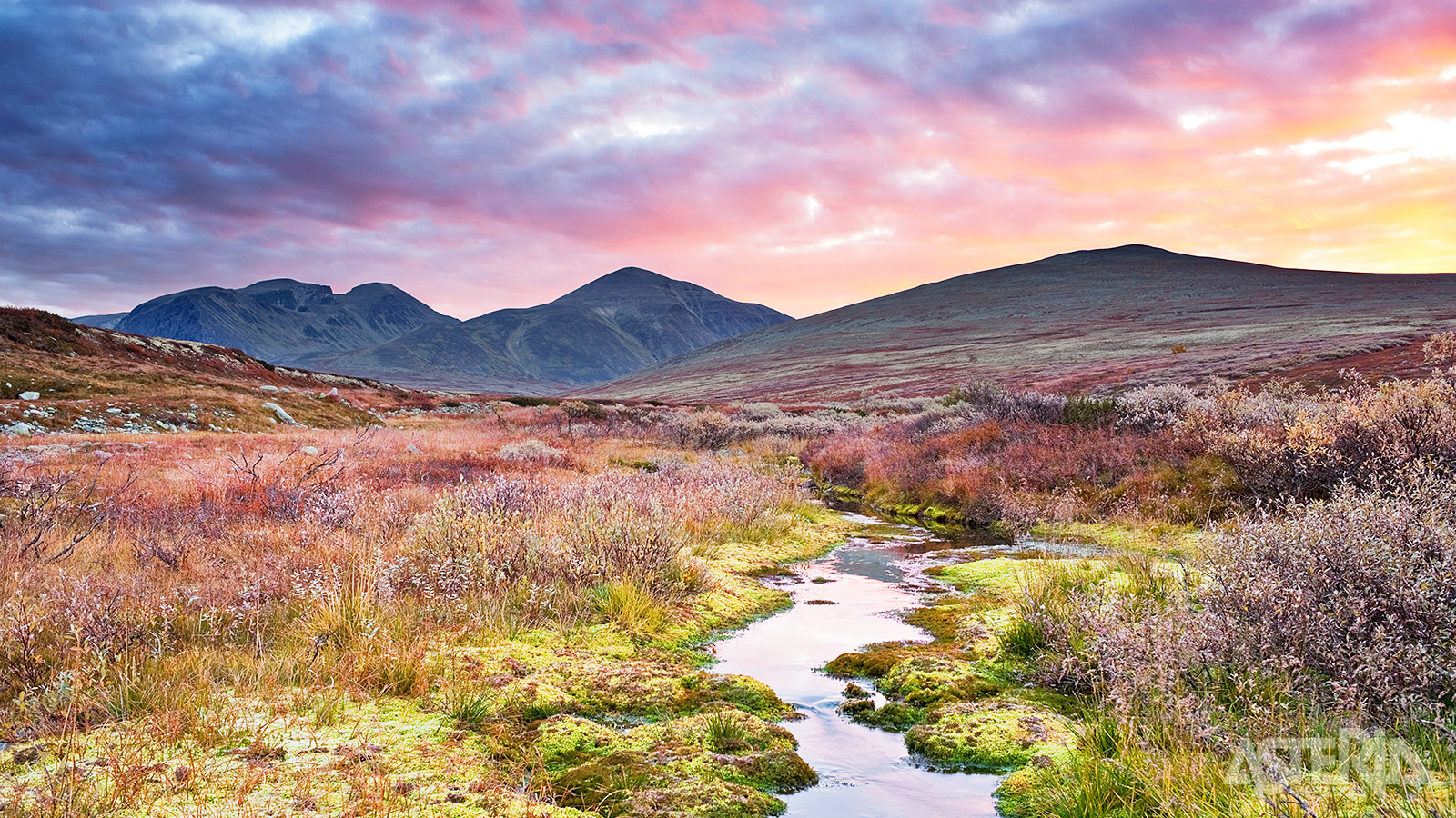 Rondane is het oudste nationale park van Noorwegen en één van de mooiste natuurgebieden van het land
