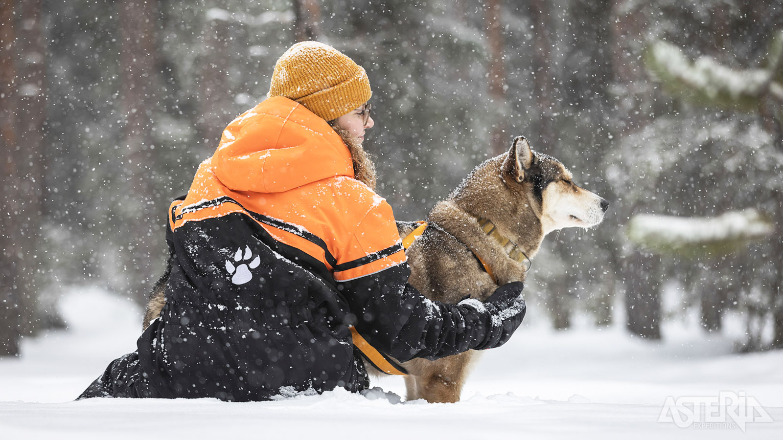 Al snel bouw je een persoonlijke band op met je eigen huskyteam