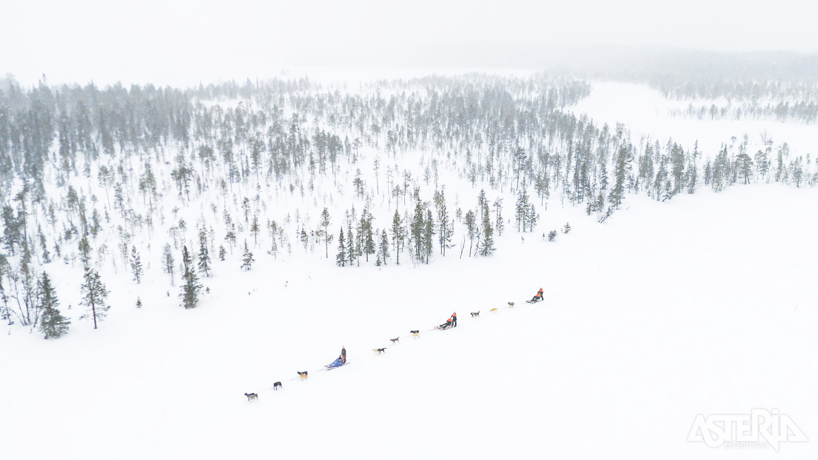 De meerdaagse huskytocht gaat door het noordwesten van Fins Lapland
