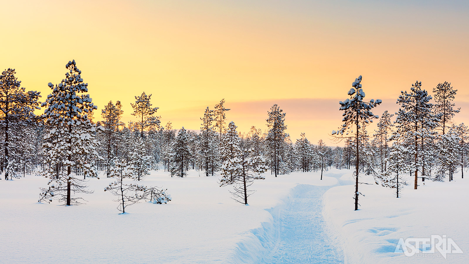 Je kan niet dichter bij de natuur staan dan tijdens deze unieke 5-daagse sneeuwscootertocht