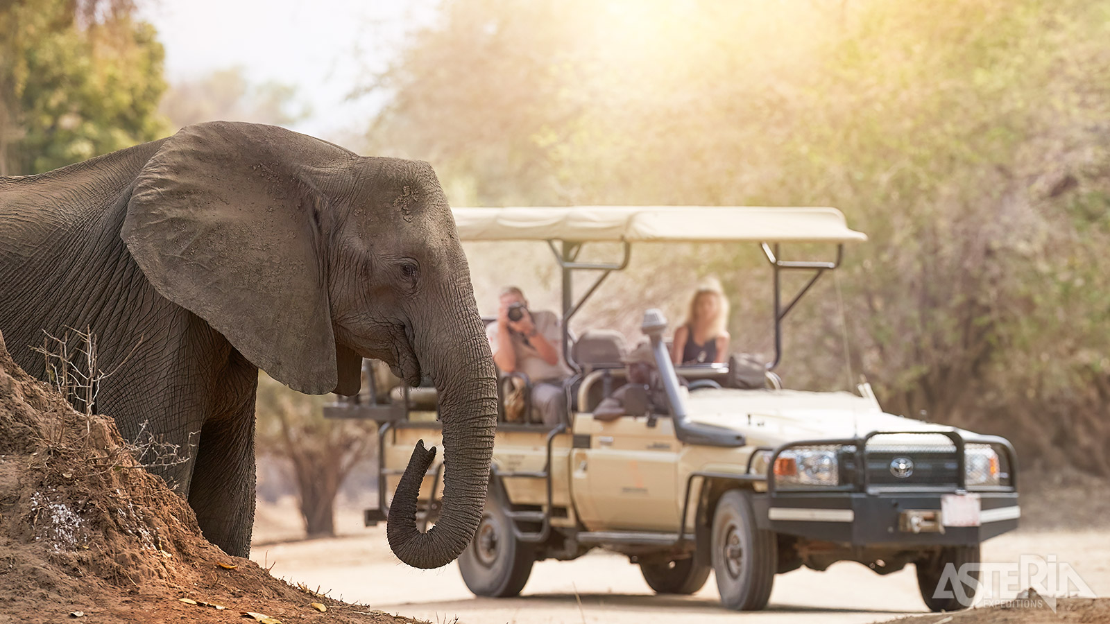 Tijdens gamedrives in het Mana Pools Nationaal Park kan je de dieren van heel dichtbij observeren en fotograferen