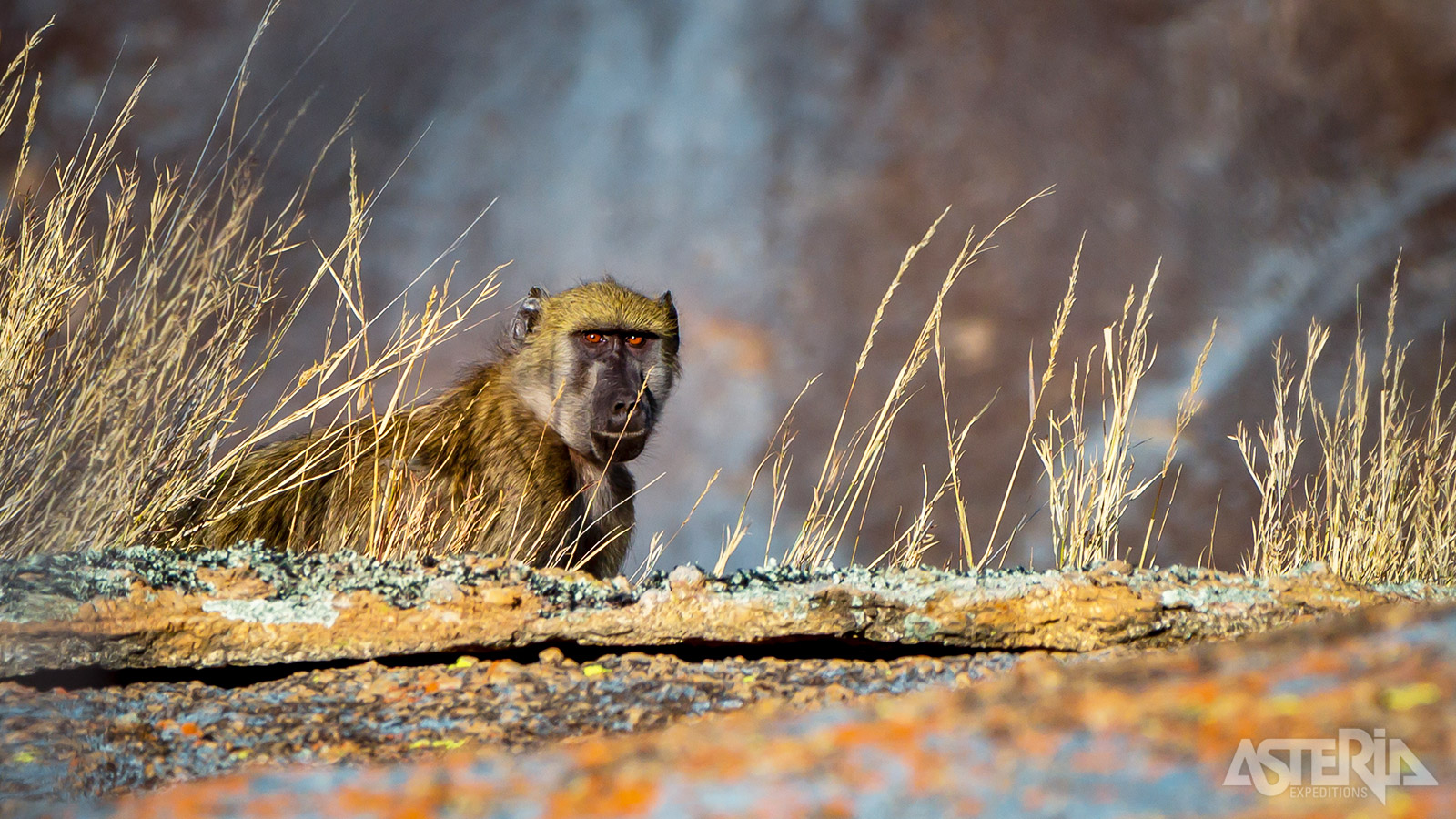 Het Matopos Nationaal Park werd in 2003 door Unesco uitgeroepen tot World Heritage Site