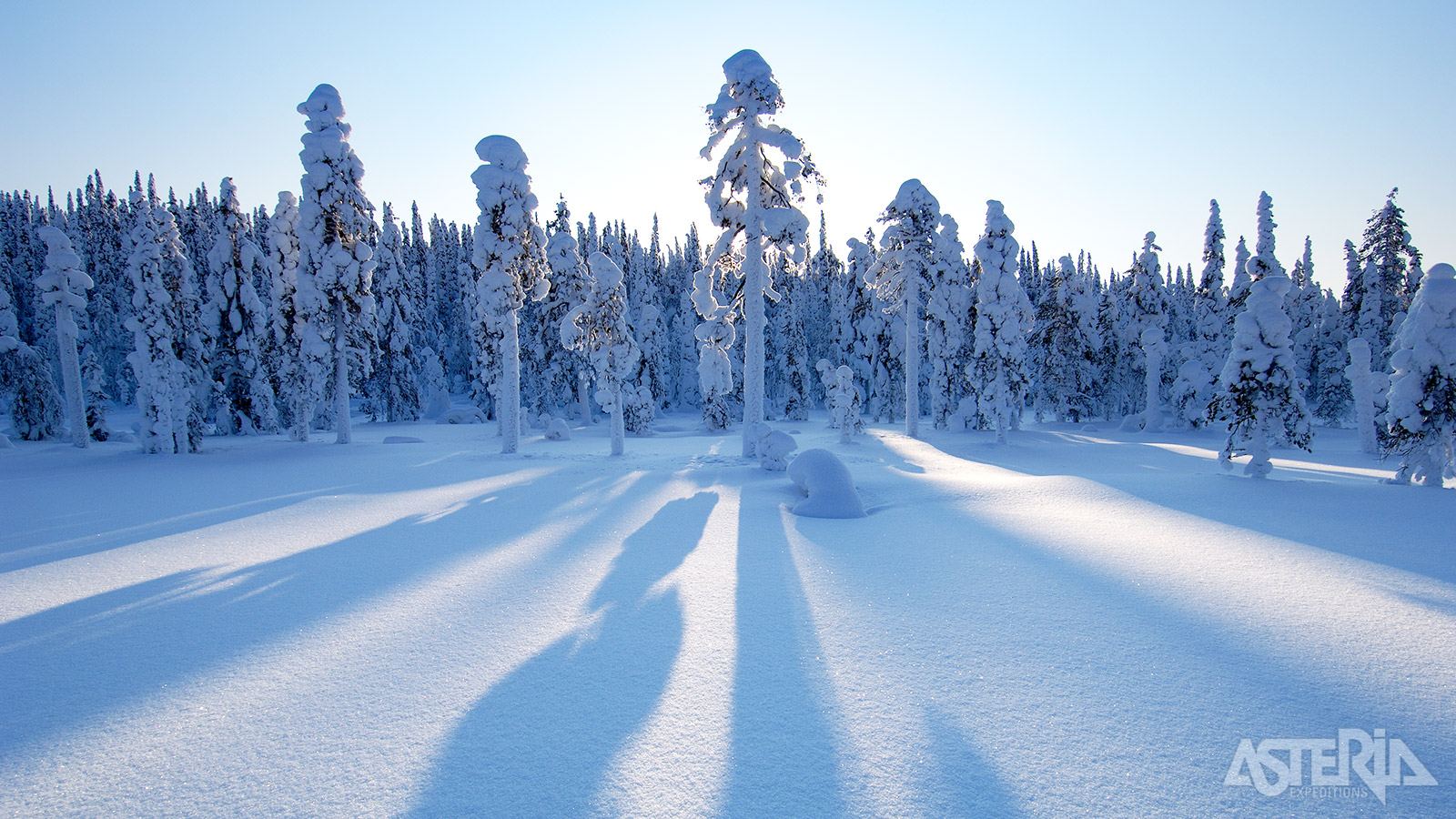 De chalets van Iso Syöte zijn omringd door een ongerepte natuur met hagelwitte sneeuwvlaktes, meren en bossen