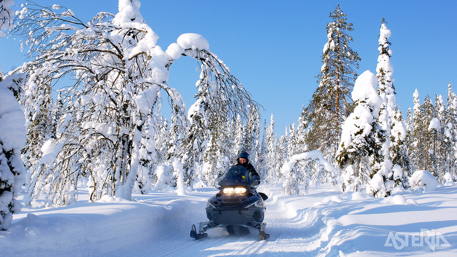 Op safari met hét Lapse transportmiddel bij uitstek: de sneeuwscooter