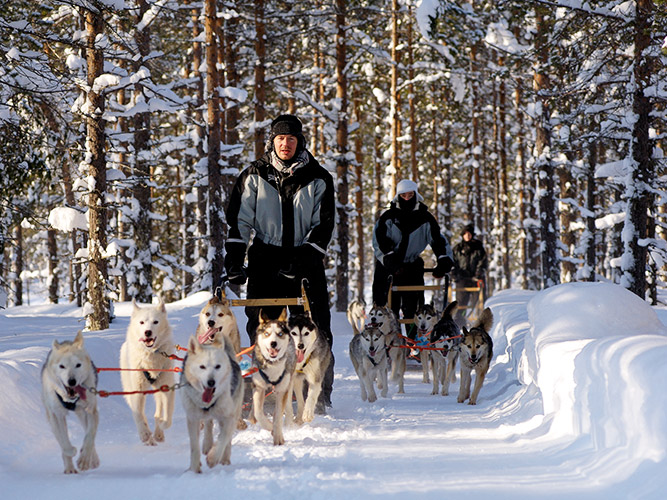 De stilte rondom je tijdens de tocht met husky’s is indrukwekkend