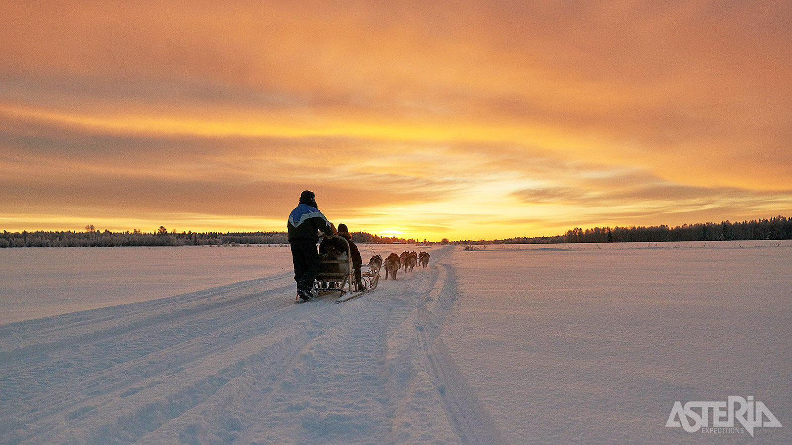 Voor velen een hoogtepunt: een tocht met de husky’s