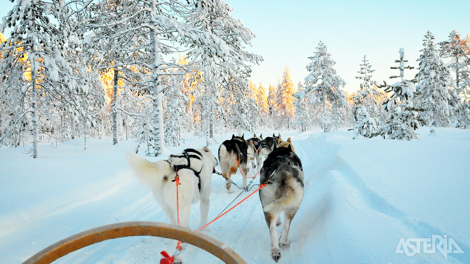Tijdens de meerdaagse huskytocht rijd je door het Abisko Nationaal Park, langs de Kings Trail naar de machtige Kebnekaise
