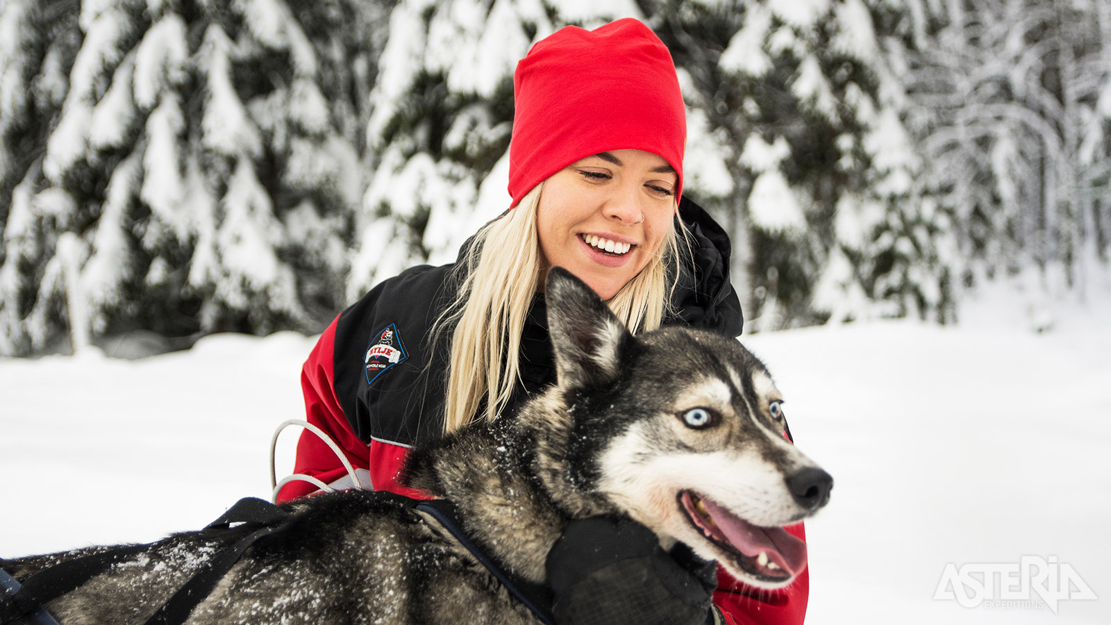 Een tocht met husky’s vormt een onvergetelijk hoofdstuk van jouw Lapland-avontuur