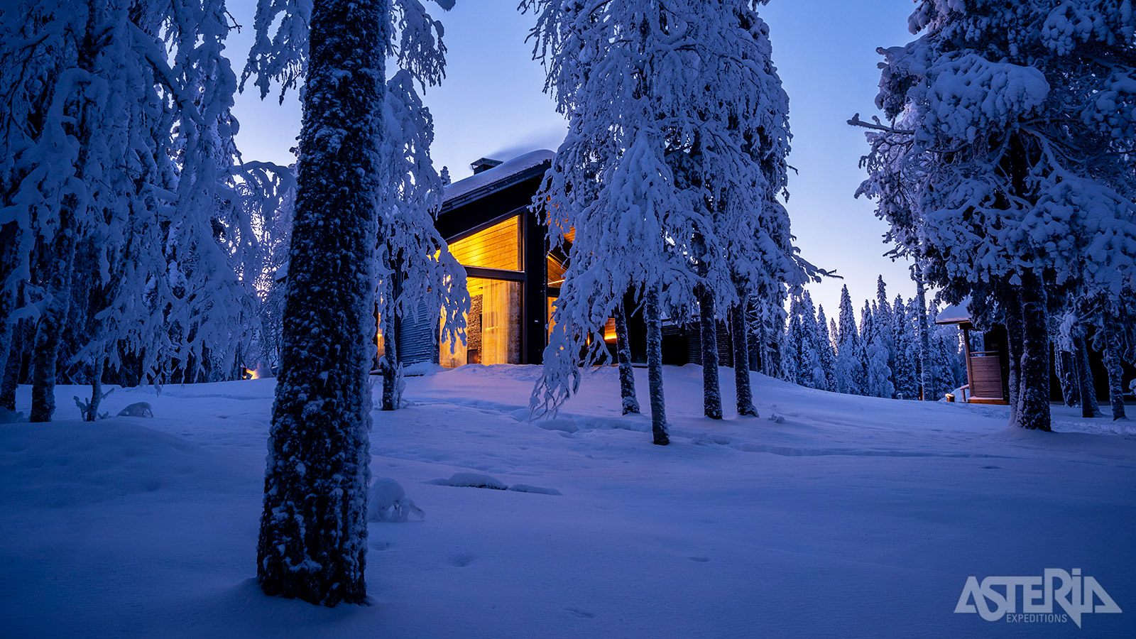 Wie op zoek is naar extra luxe en comfort kan terecht in 1 van de 5 Lumo Lakeside Lodges