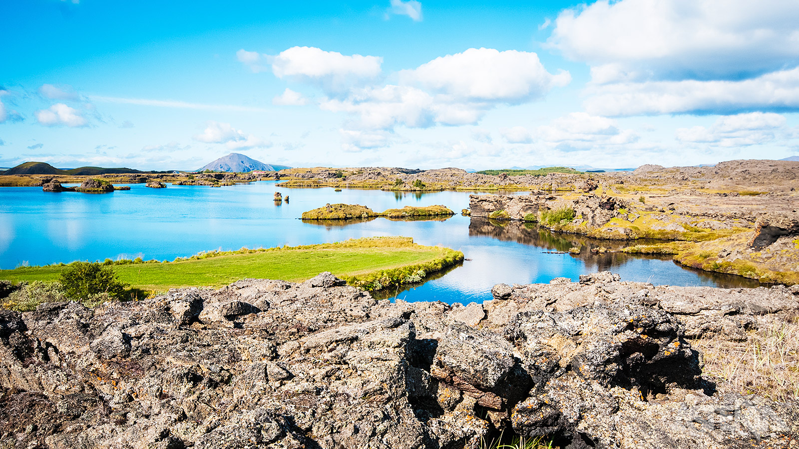 Myvatn is één van de meest verbazingwekkende gebieden van IJsland omwille van de vogels, het prachtige meer en de vulkanische omgeving