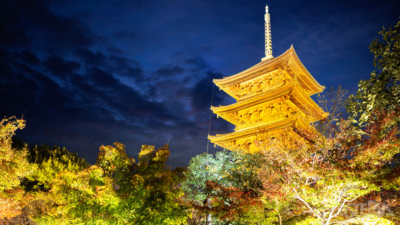De meer dan 1.000 jaar oude To-ji tempel is n van de meest vooraanstaande bezienswaardigheden in Kyoto