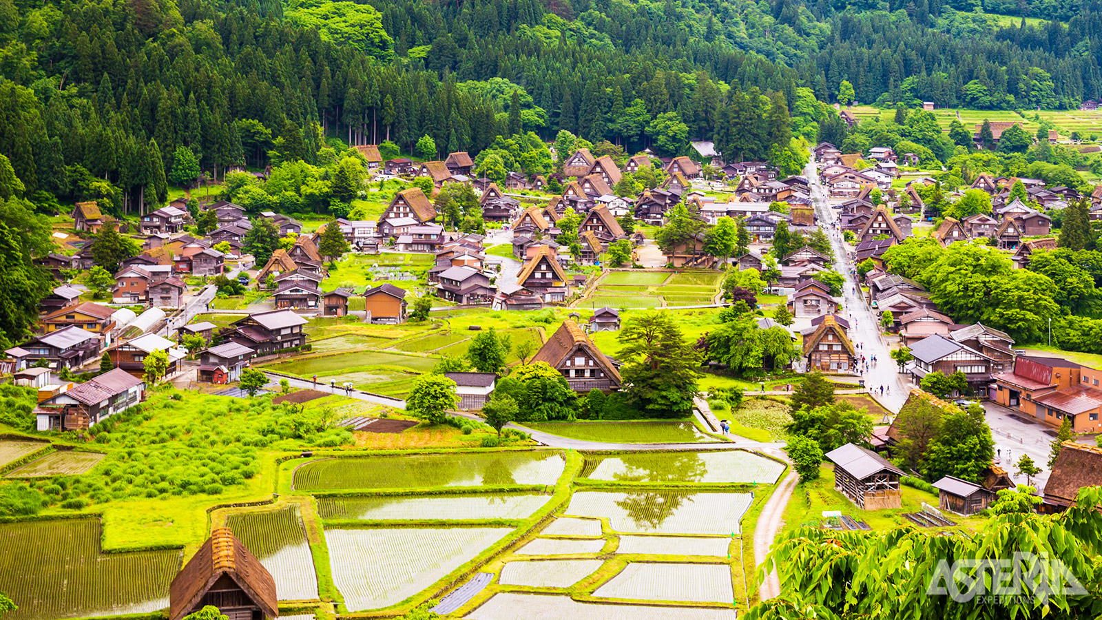Het historische bergdorp Shirakawago is bekend om zijn traditionele gassho-zukuri-boerderijen met steile rieten daken