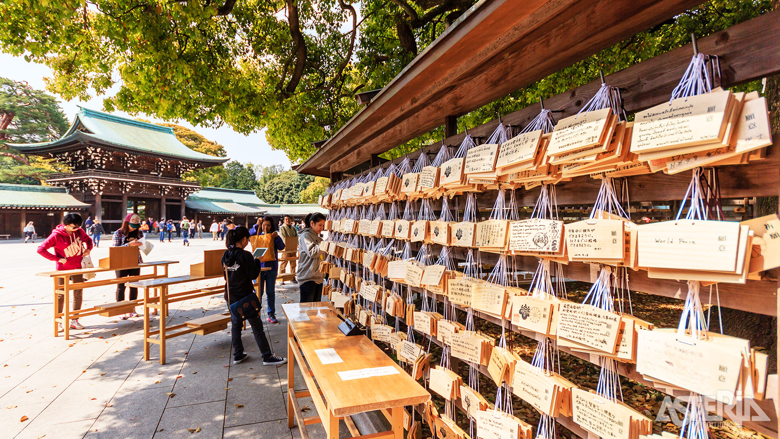 Bij de Meiji-schrijn zie je vaak houten plaatjes of ema, met daarop wensen voor succes, gezondheid, liefde of veilige reizen