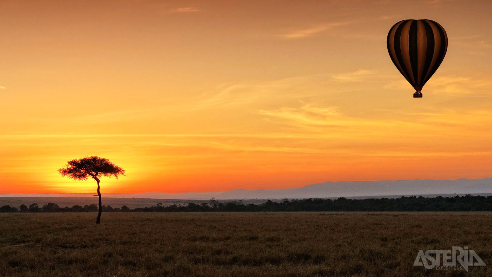 Een ballonvaart bij zonsopgang is een populaire manier om de uitgestrekte savanne & wilde dieren te observeren