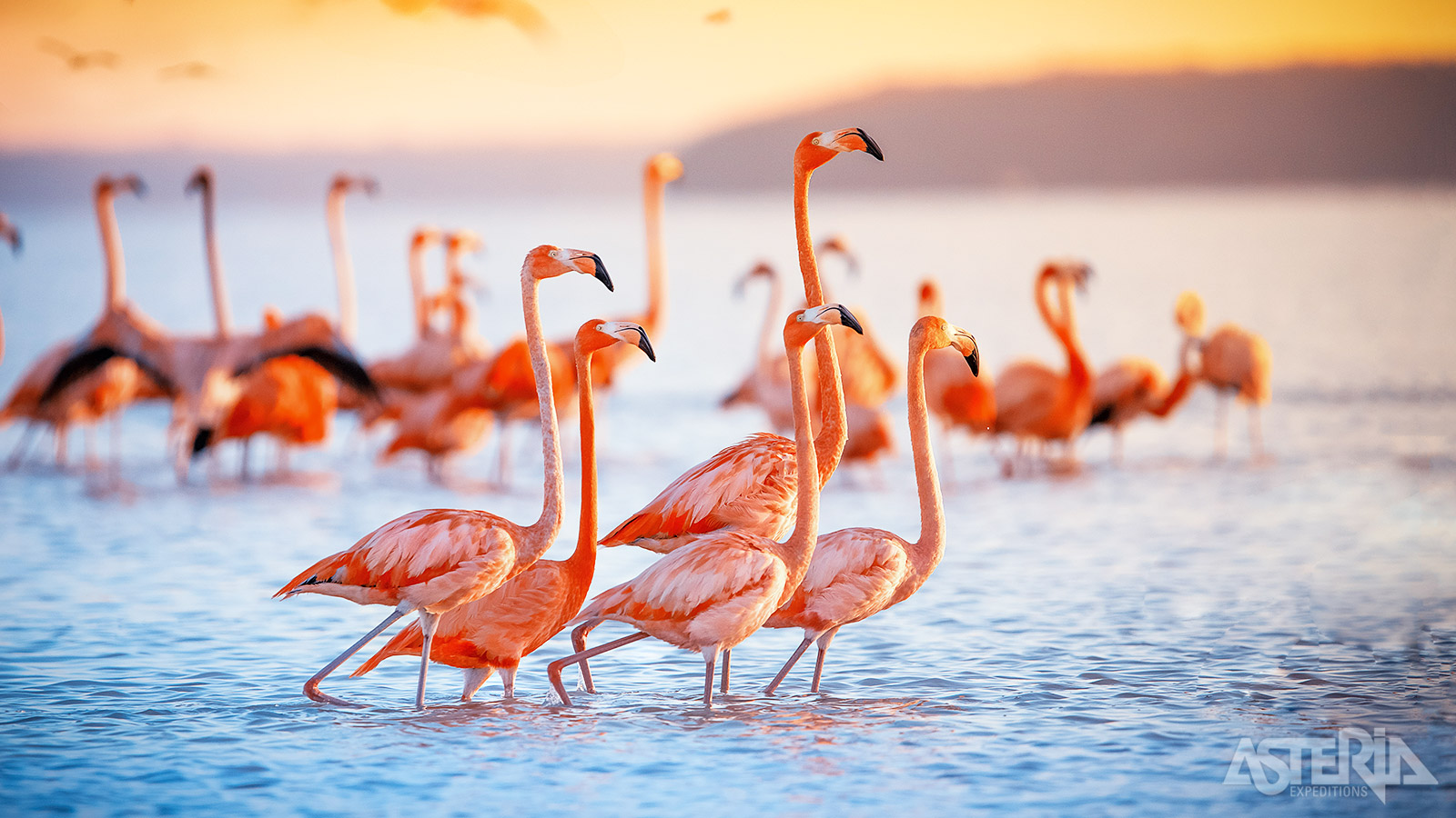 Lake Nakuru National Park, vooral bekend voor de duizendenrode flamingo’s die hier leven