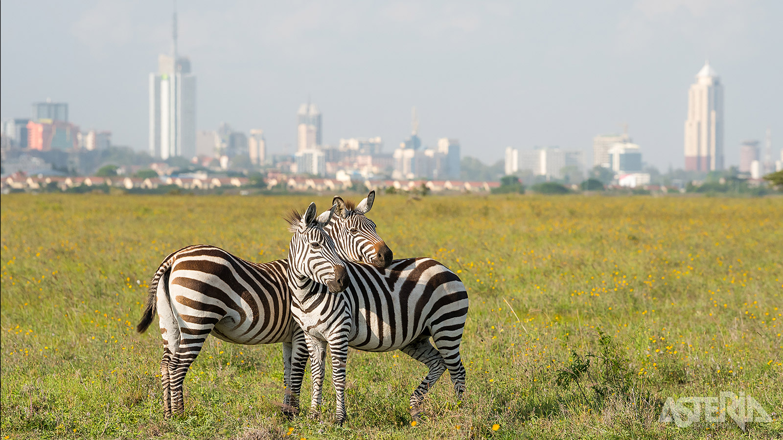 Welkom in Nairobi, hoofdstad van Kenia en startpunt van deze trip