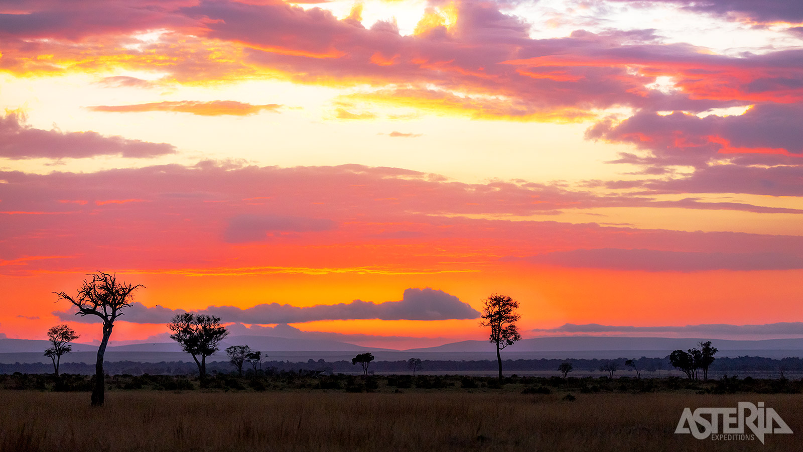 Welkom in Masai Mara, Kenia’s grootste wildreservaat