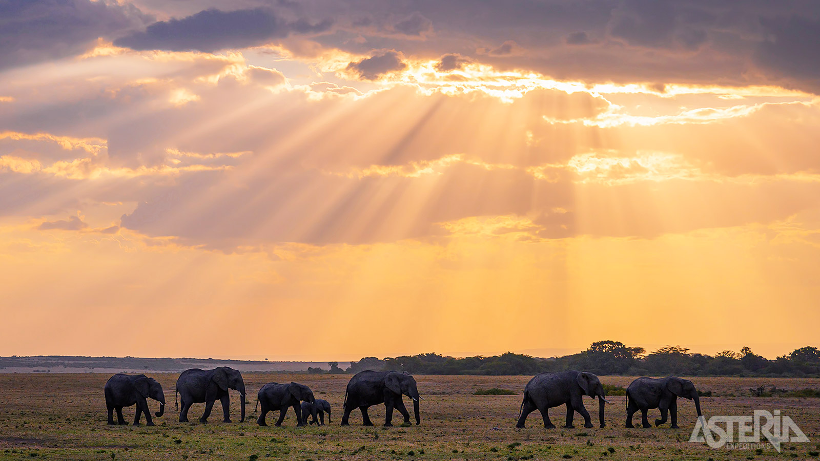Masai Mara biedt een verbluffende caleidoscoop van ruige landschappen en een spannende opeenvolging van dieren