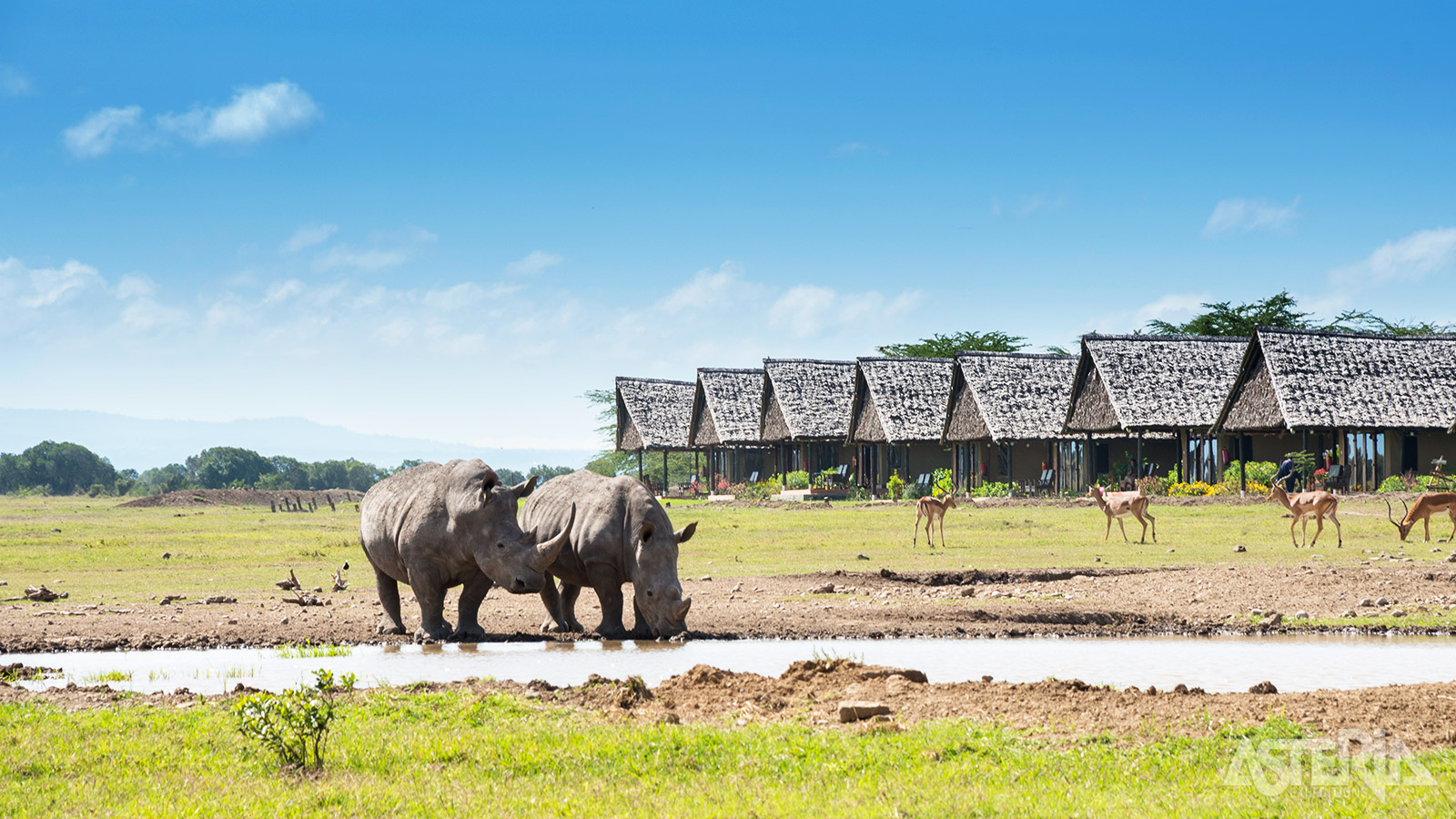 Sweetwaters Serena Camp**** is een klassevol tentenkamp in het duurzame Ol Pejeta Conservancy