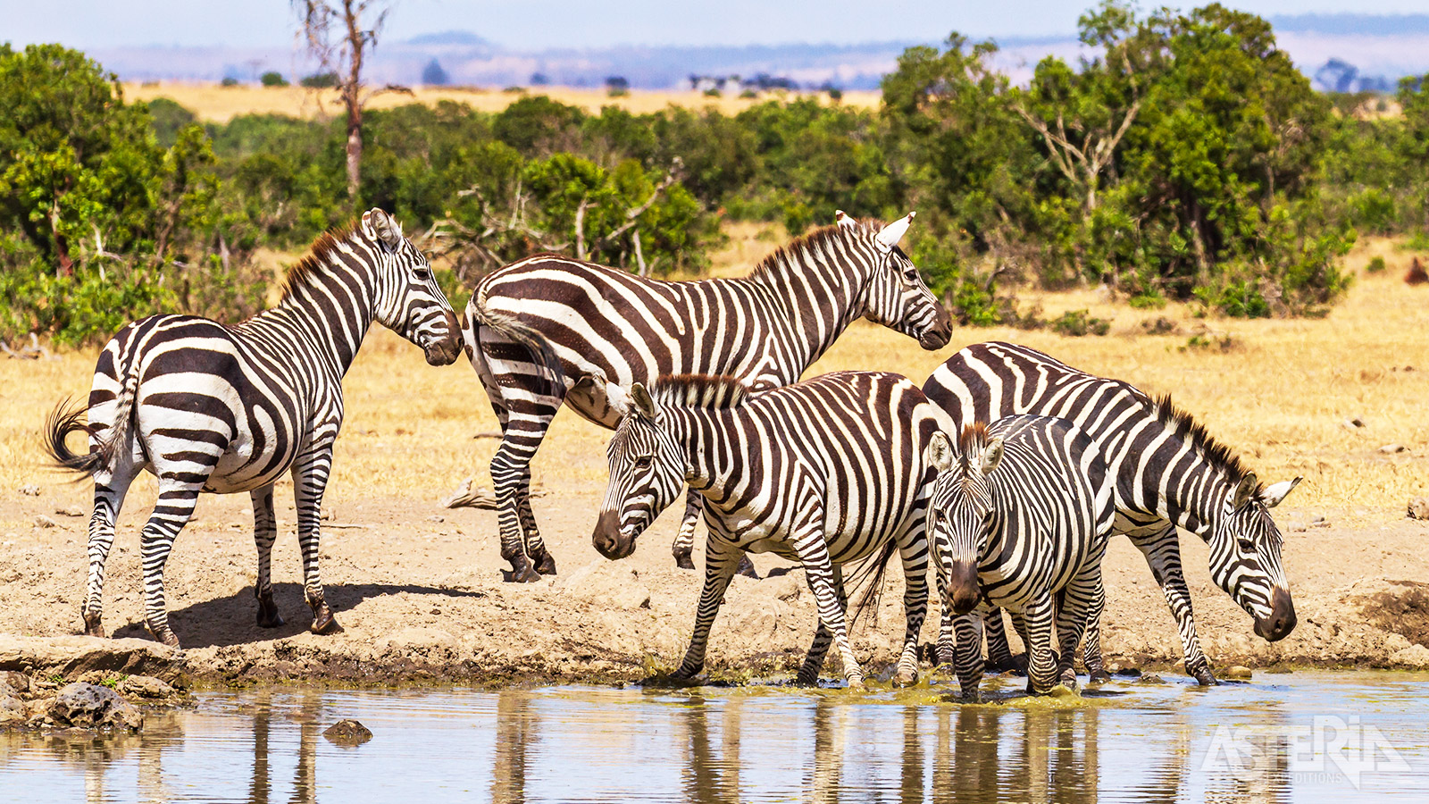 Ol Pejeta is n van de meest toegankelijke gebieden van het veel grotere Laikipia Plateau Nationaal Reservaat