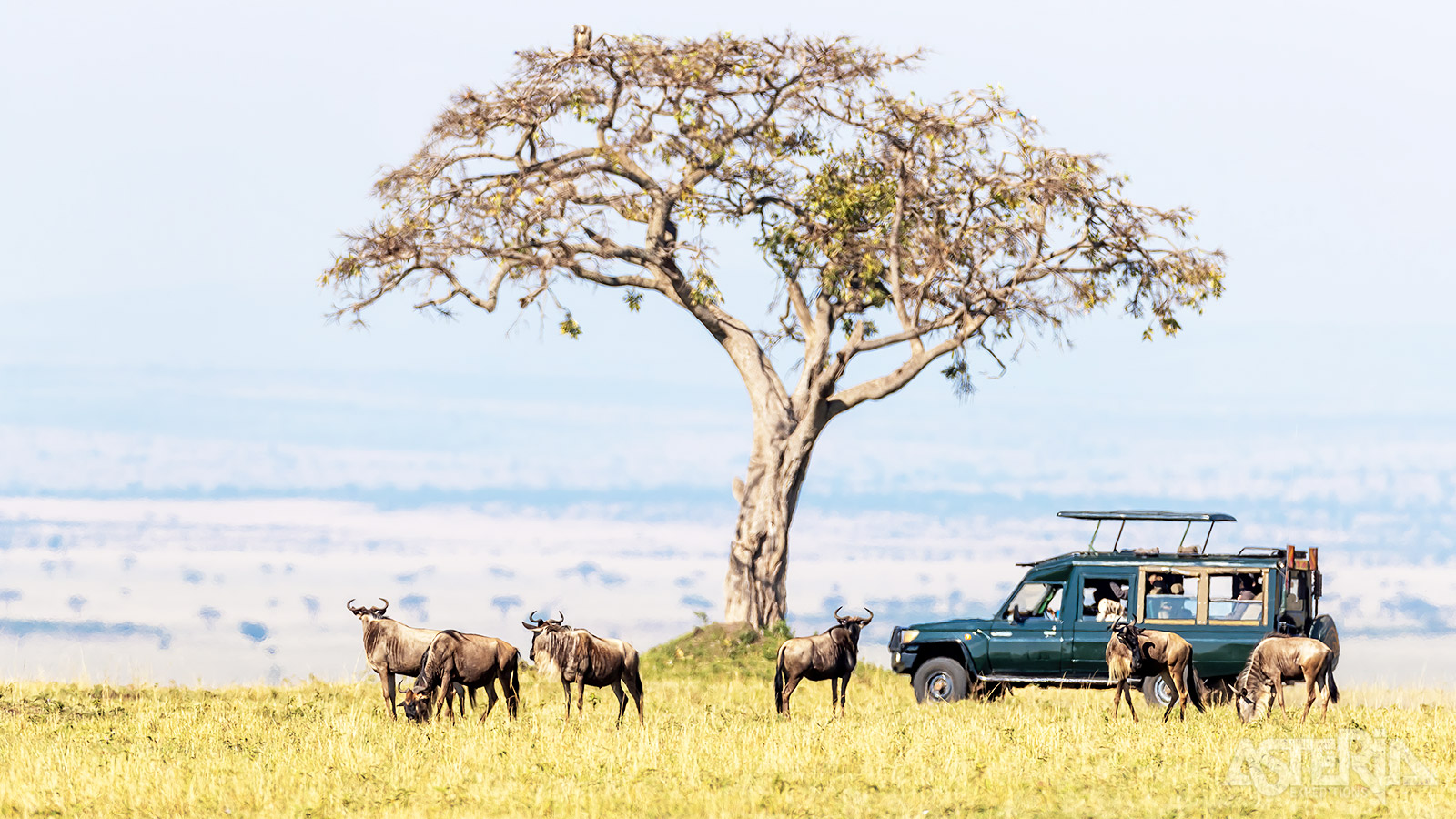 Het Sweetwaters Game Reserve biedt in vergelijking met alle andere parken en reservaten de grootste verscheidenheid aan safari-activiteiten van Kenia