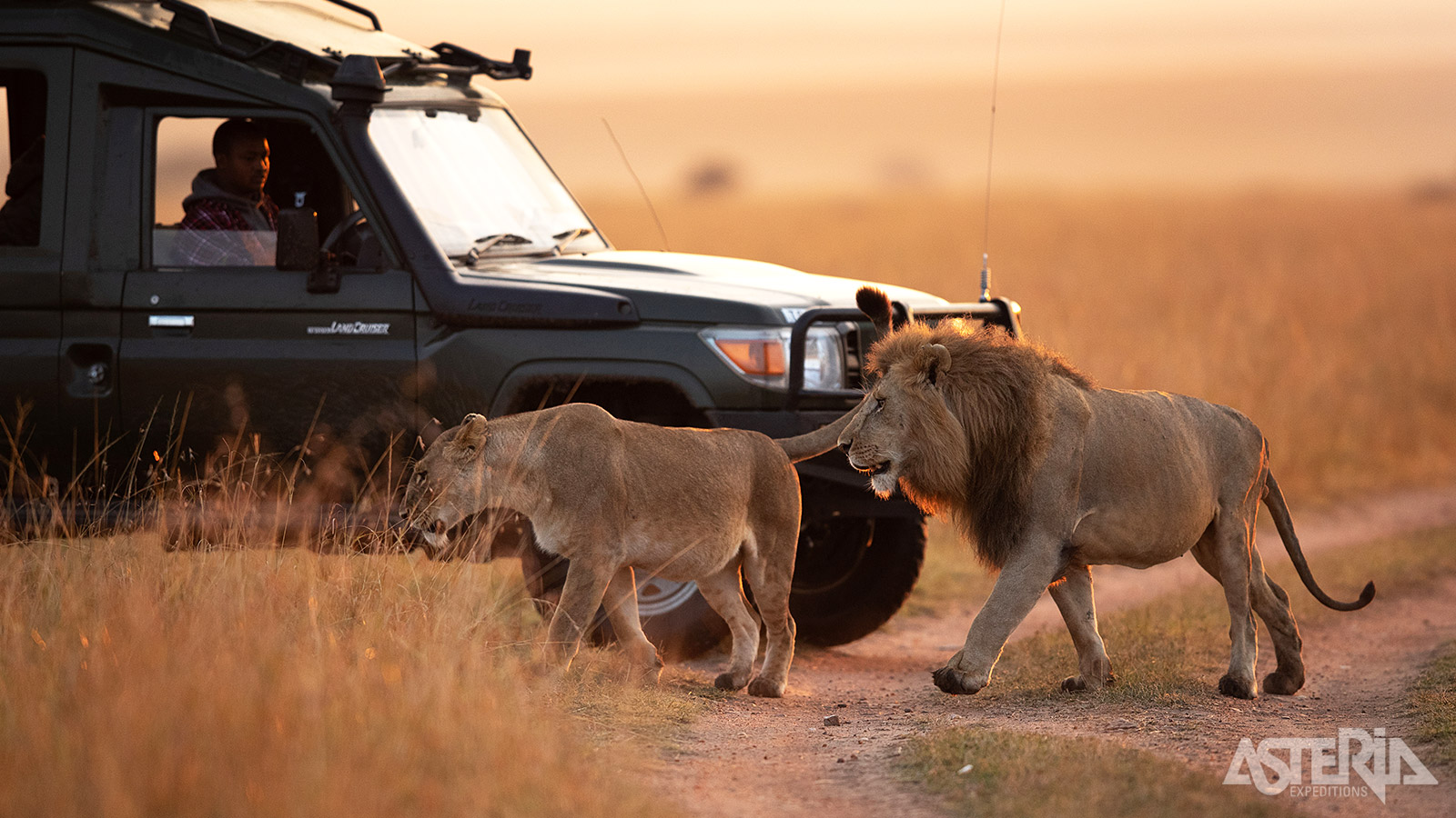 Masai Mara is één van de beste plekken om de leeuw, luipaard, olifant, buffel & zeldzame zwarte neushoorn te spotten