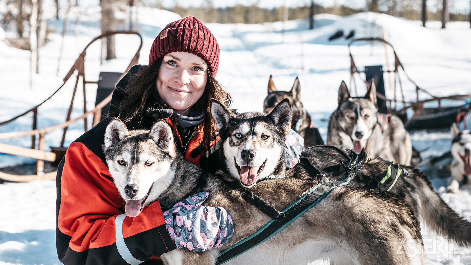 Na een kennismaking met de husky’s krijg je een korte uiteenzetting hoe je de slede dient te besturen