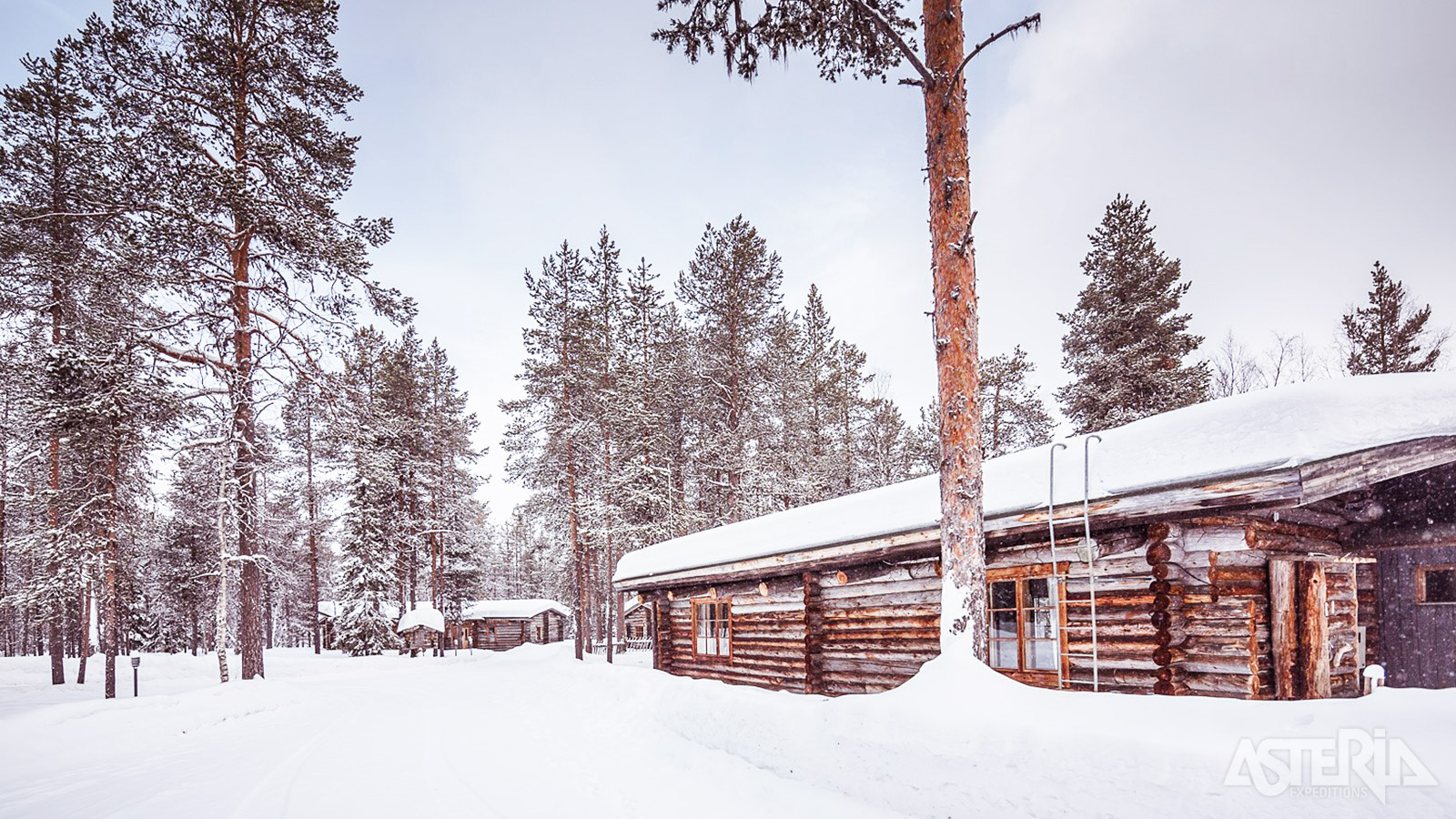 Gelegen in een bosrijke omgeving aan de oever van een meer, vormt een houten lodge de perfecte uitvalsbasis