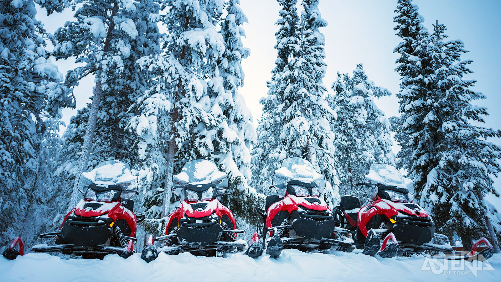 Ervaar het ultieme winteravontuur tijdens een sneeuwscootersafari in Lapland