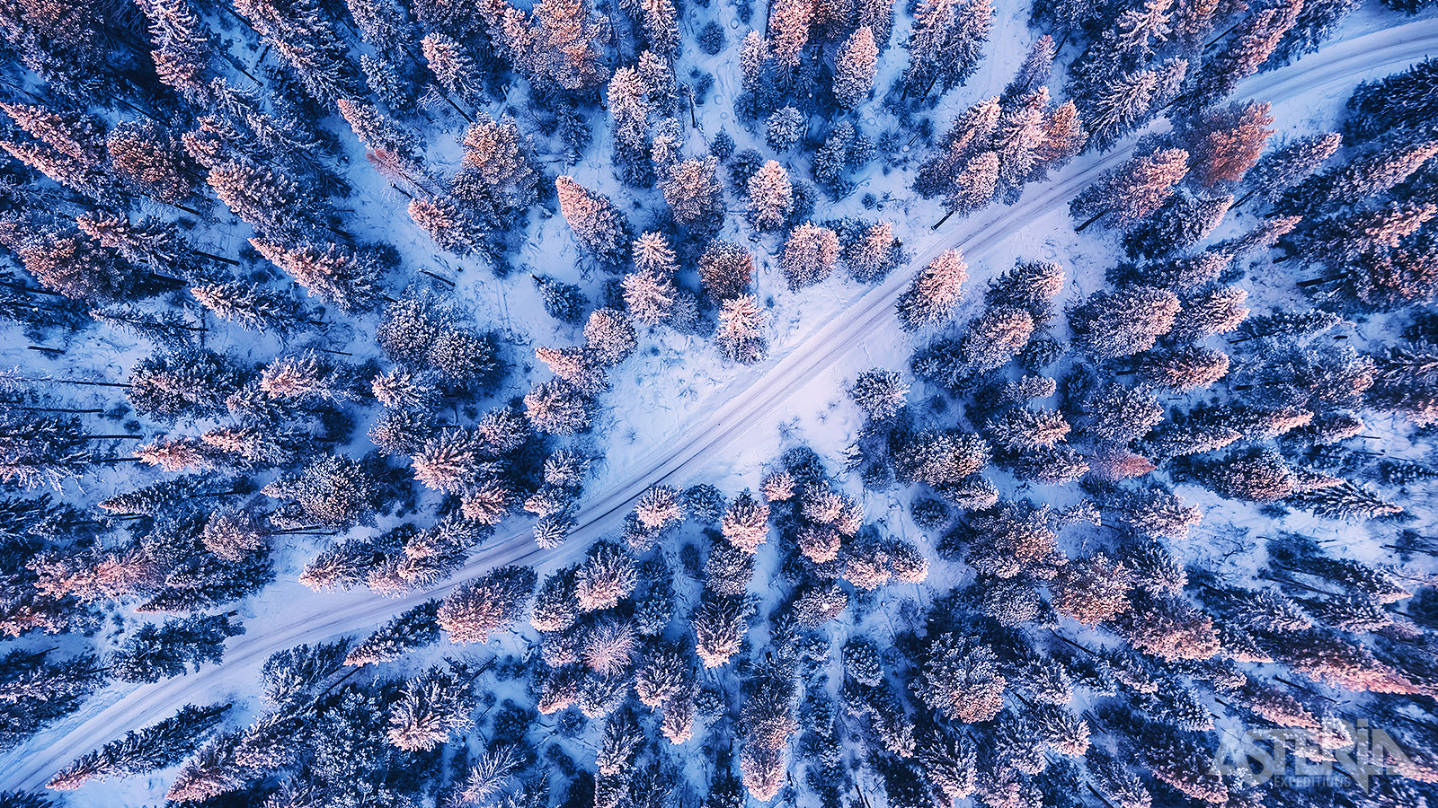 Op ontdekkingstocht door de uitgestrekte besneeuwde bossen, bevroren meren en heuvels