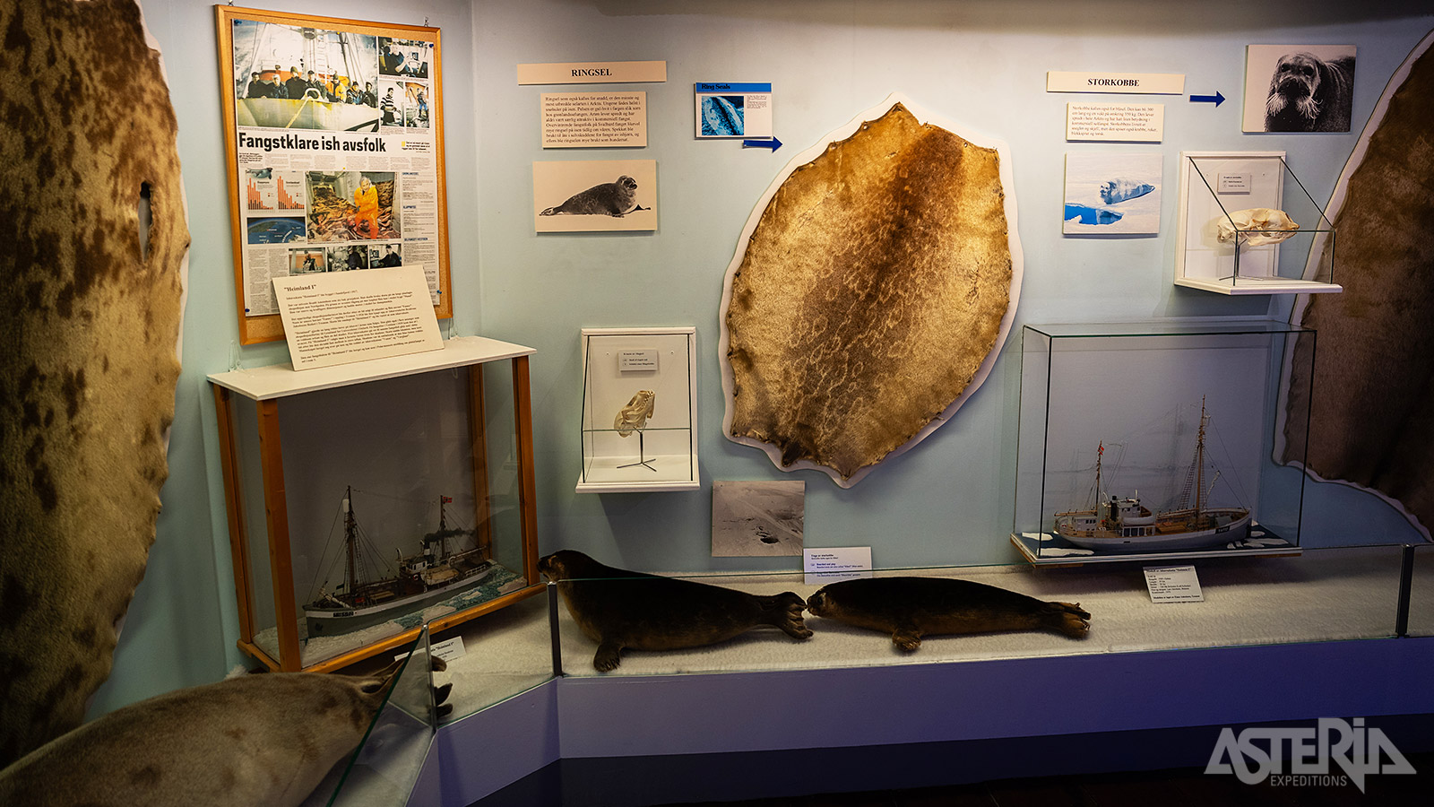Het Polar Museum in Tromsø biedt een geïllustreerd blik op de Noorse poolgeschiedenis en -cultuur