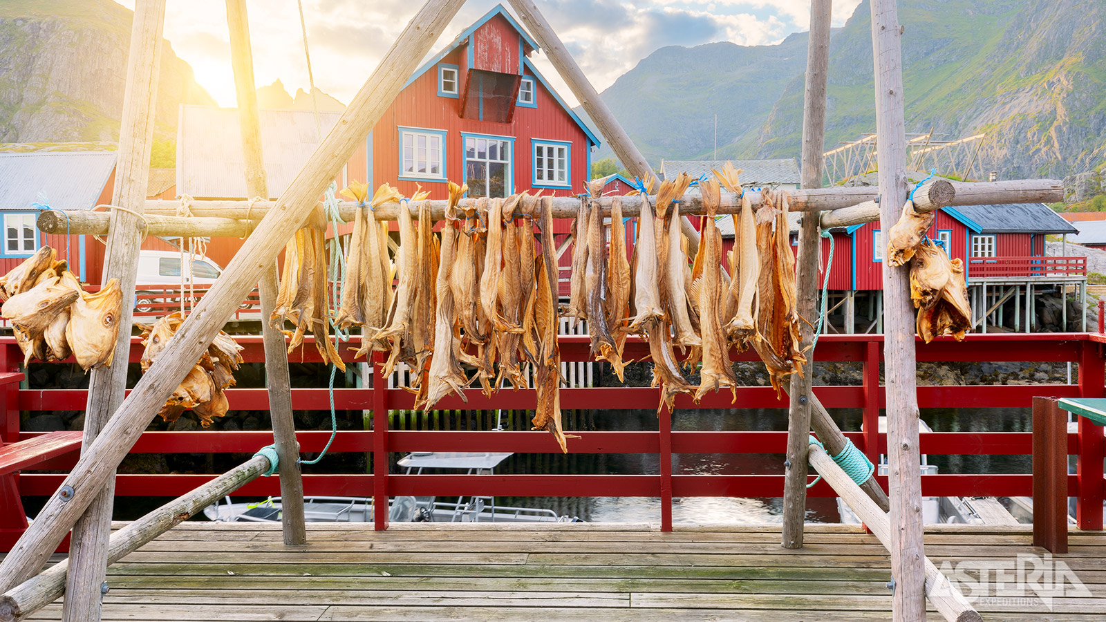 Na het vangen wordt de vis in de wintermaanden op houten rekken (hjell) in de open lucht gehangen