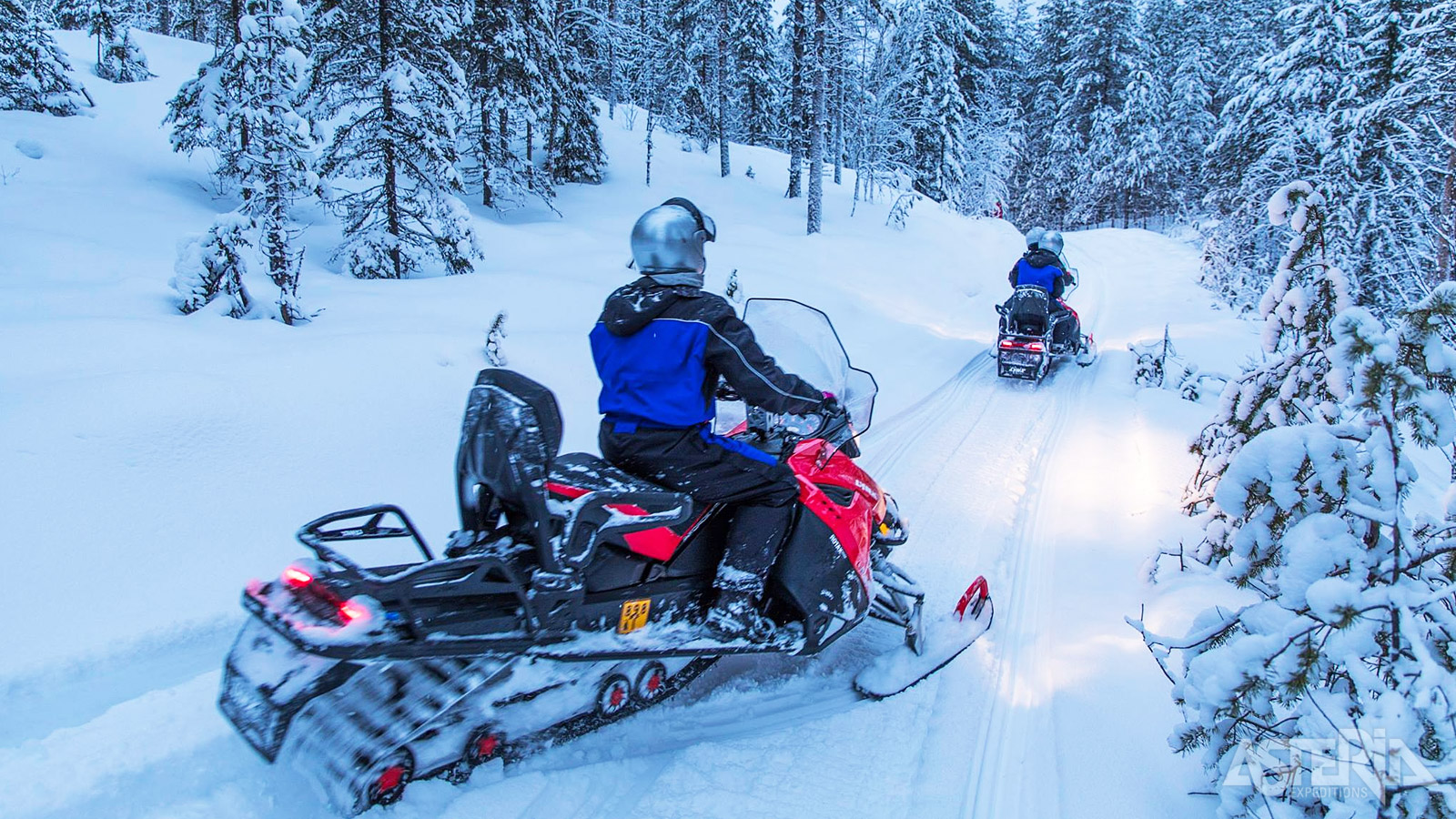 Voel de adrenaline stromen tijdens een sneeuwscootersafari door besneeuwde bossen