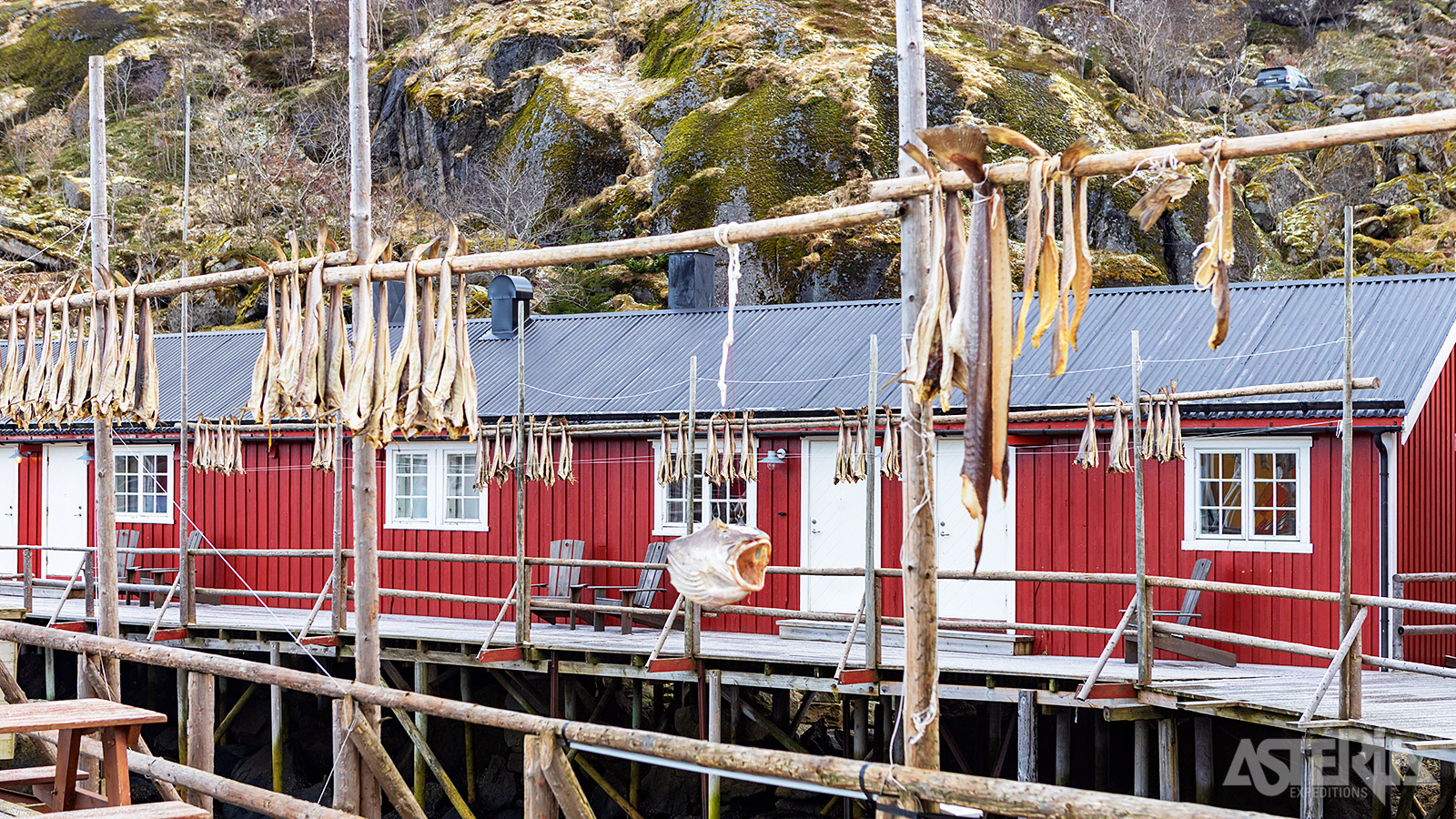 De Lofoten hebben een uniek microklimaat, ideaal om vis in de buitenlucht te drogen