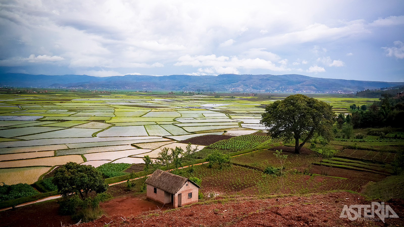 De rode, laterietkleurige huisjes rond Antsirabe contrasteren met de groene tinten van de rijstterrassen