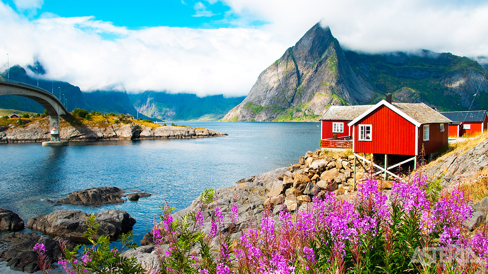 De Lofoten bieden een unieke ervaring van de middernachtzon in de zomermaanden of het noorderlicht in de winter