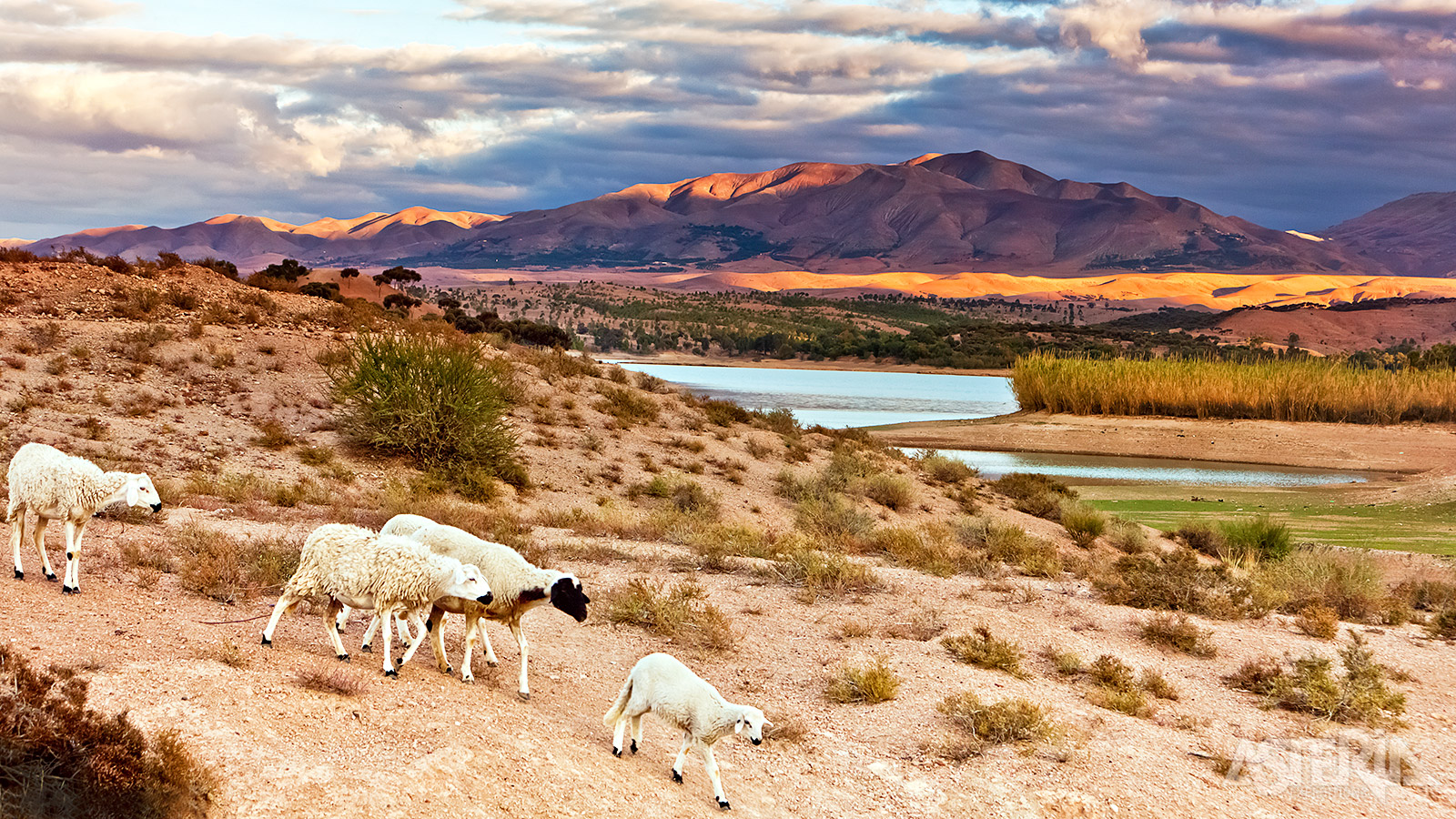 Lalla Takerkoust ligt op minder dan 1u rijden van Marrakech en is één van de meest toegankelijke natuurgebieden