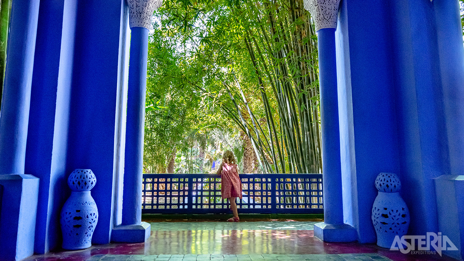 Ontdek een oase van kunst en landschapsarchitectuur in de Majorelle Garden